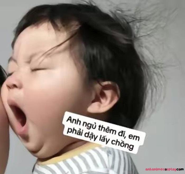 meme ngủ ngon hài nhất
